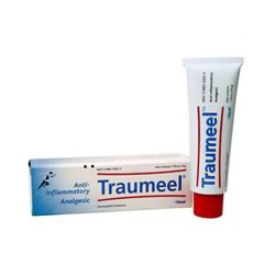 Traumeel S ung 50 g