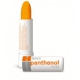Panthenol forte lip balm SPF 15 (multipack 25 ks)