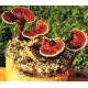 Good Nature - REISHI, Ganoderma lucidum, 90 tabliet po 500 mg sušenej huby